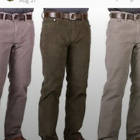 Calvin Klein Jeans Other - CALVIN Klein Jeans Mens Flat Front Corduroy Pants 5-Pocket Olive sz 40X32